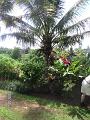 Mauritius 2004 024